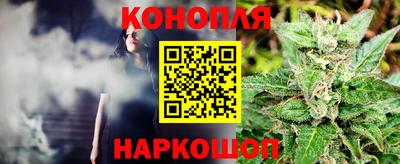 сатива Можга
