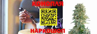 крисы Можайск