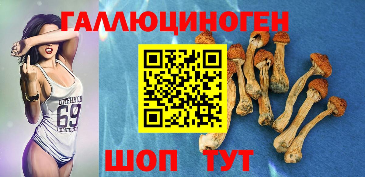 Сыктывкар  Галлюциногенные грибы ЛСД  Вход с VPN 