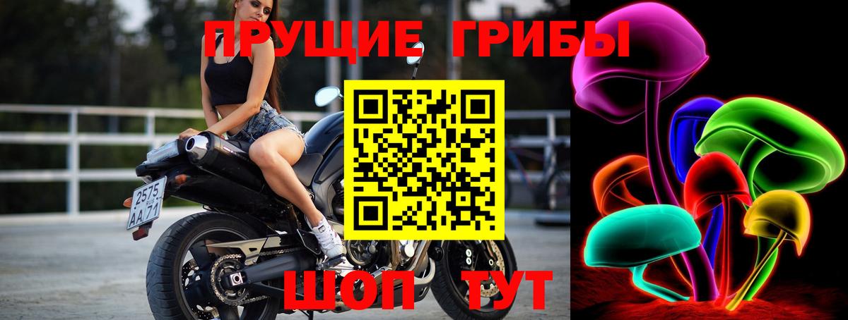 Псилоцибиновые грибы GOLDEN TEACHER Сыктывкар